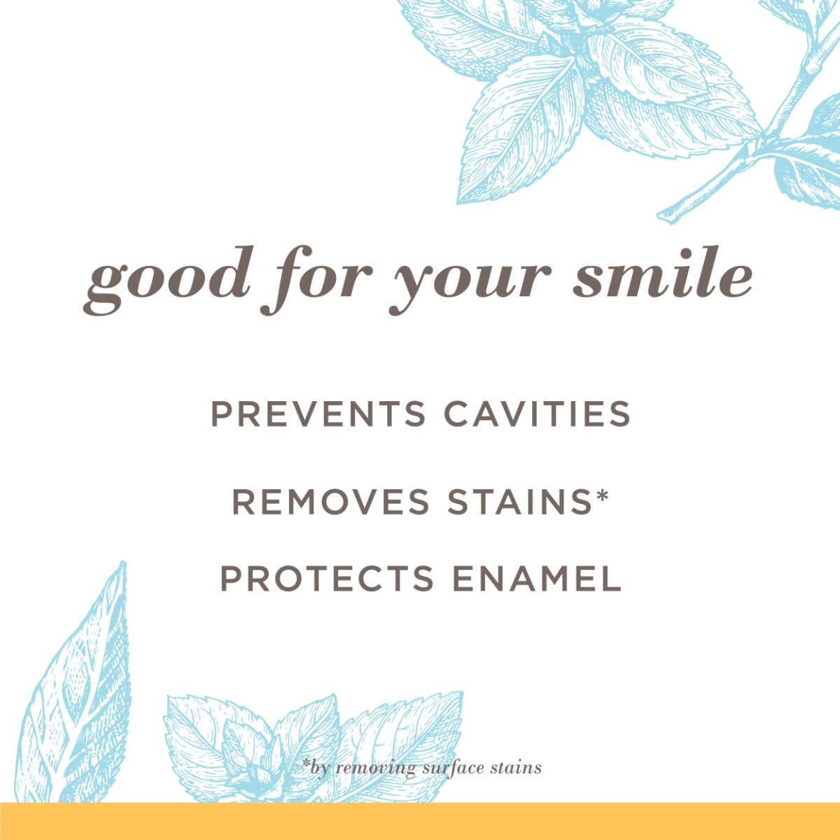 Extra White Fluoride Natural Toothpaste Mountain Mint Y8