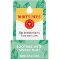 Sweet Mint Lip Treatment with Sea Minerals H3