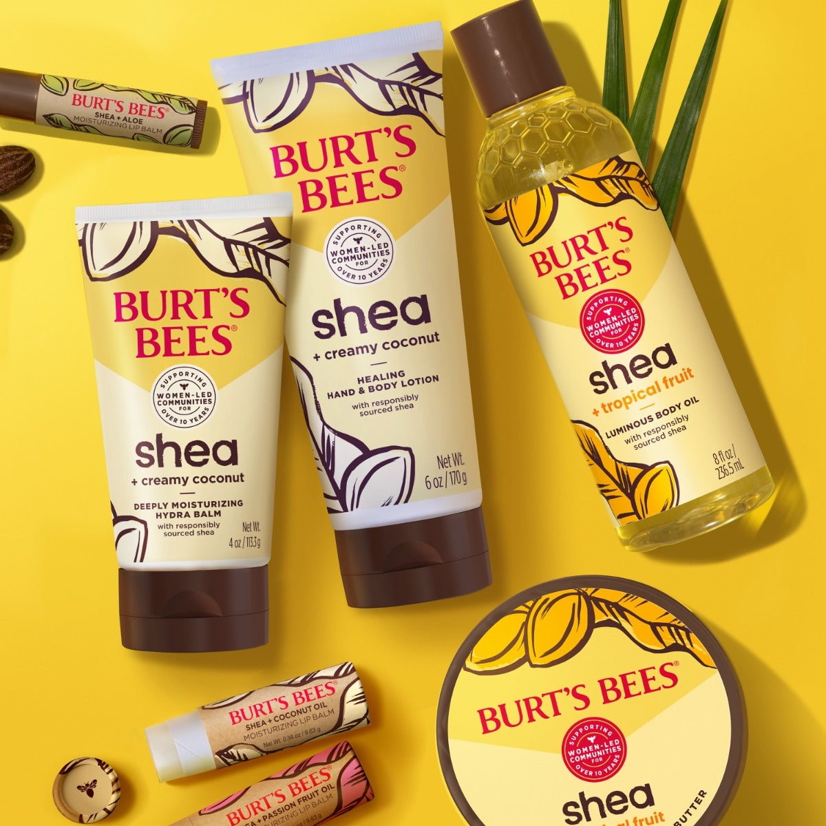 Shea + Coconut Oil Moisturizing Lip Balm T8