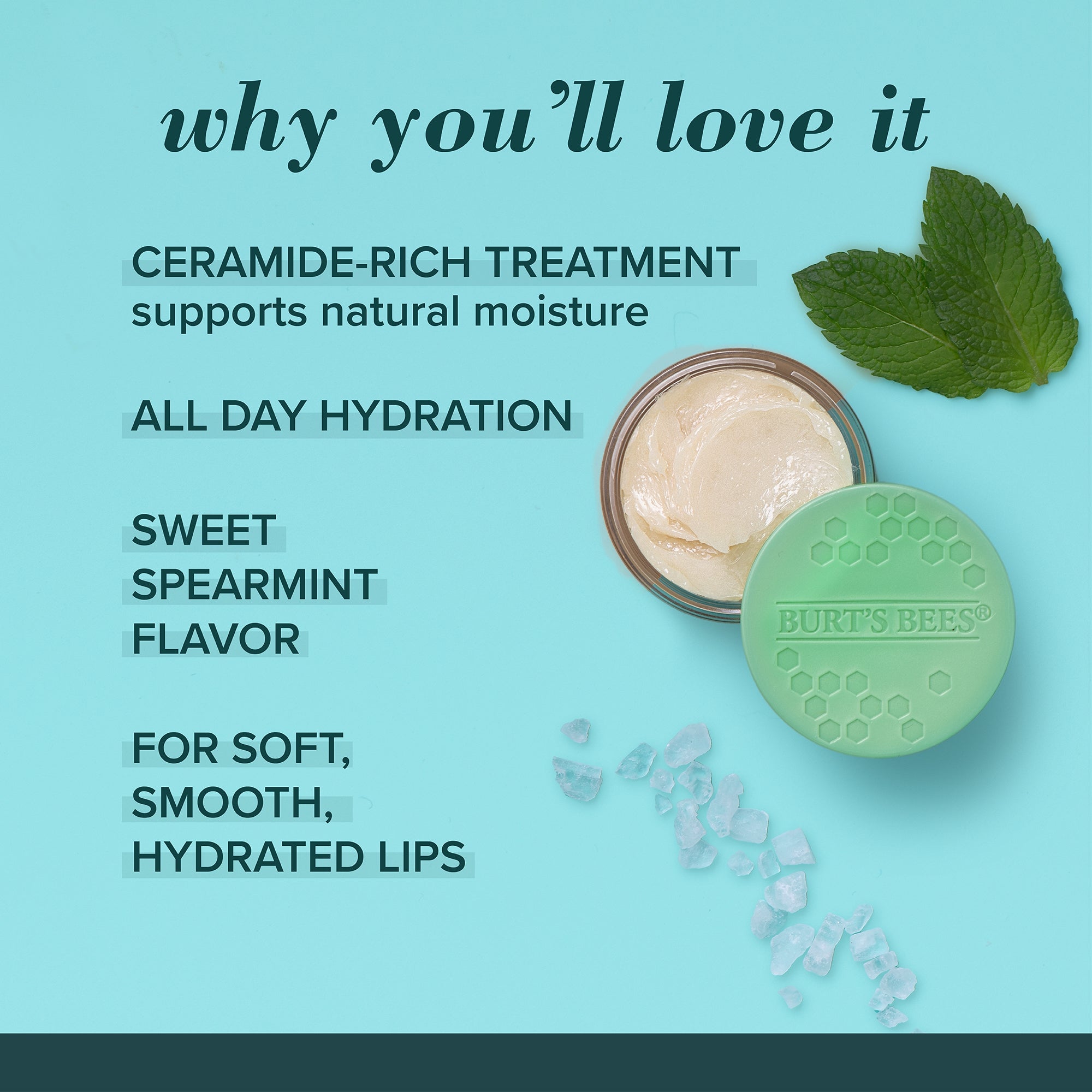 Sweet Mint Lip Treatment with Sea Minerals H3