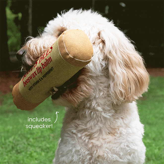 Balm Dog Toy & Pawrent Balm 4-Pack Set Z8