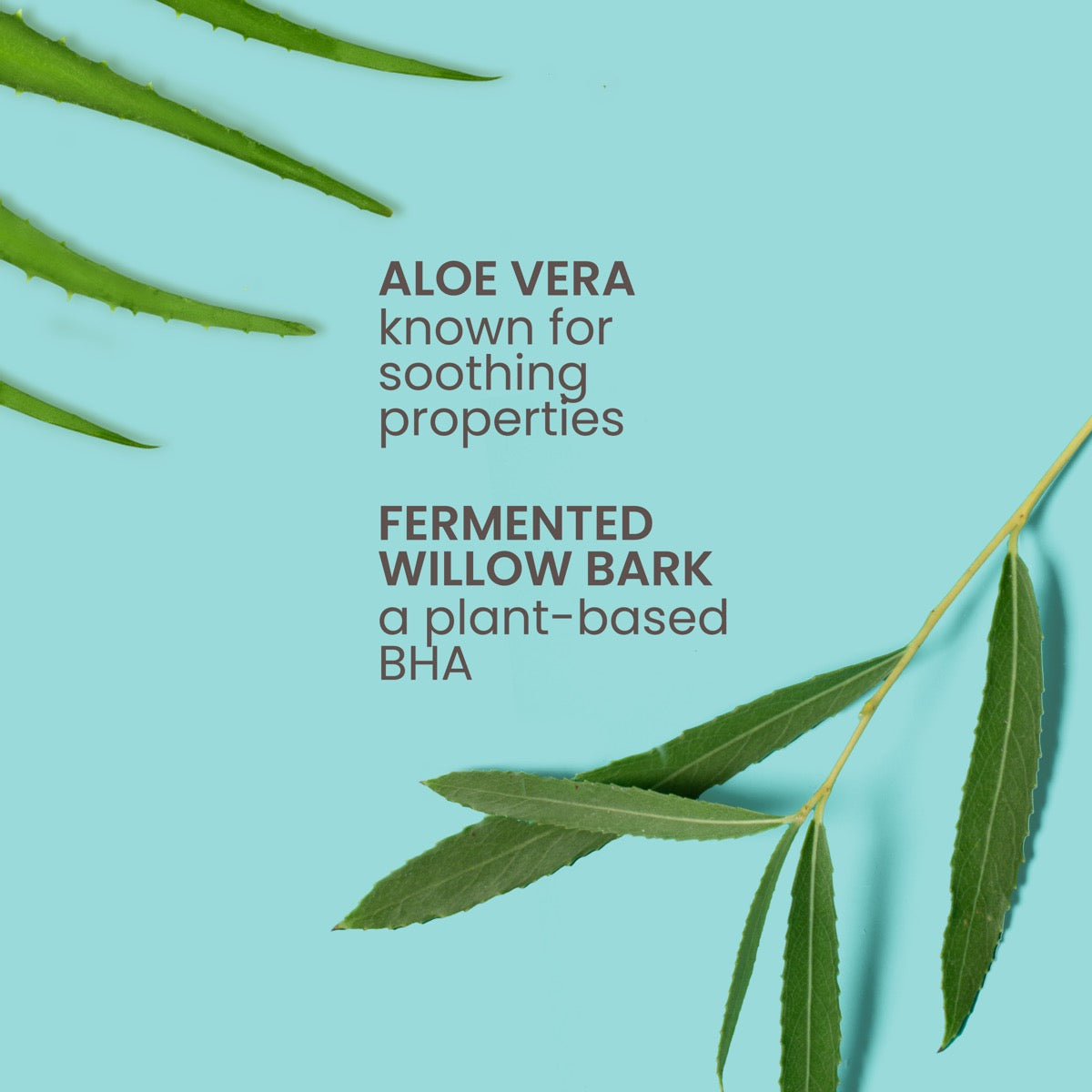 Clear & Balanced Herbal Blemish Patches E9