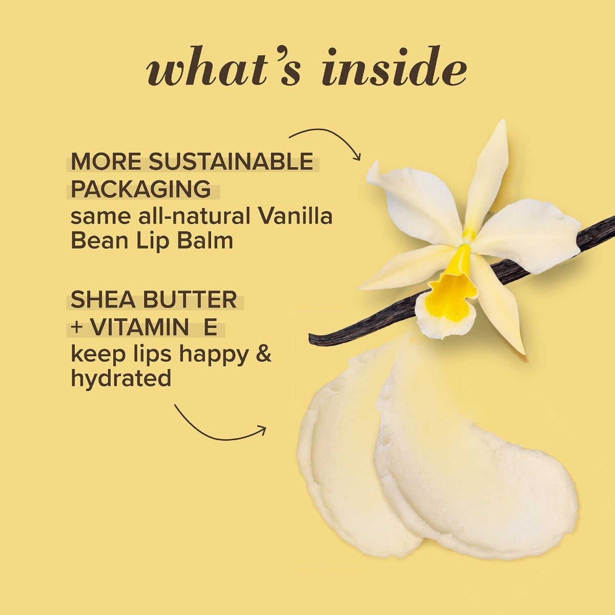 Vanilla Bean Lip Balm Paper Tube E3